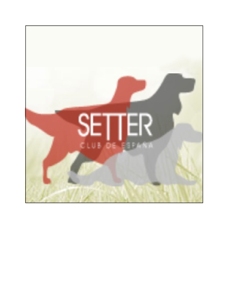 Setter Club de Espa&ntilde;a